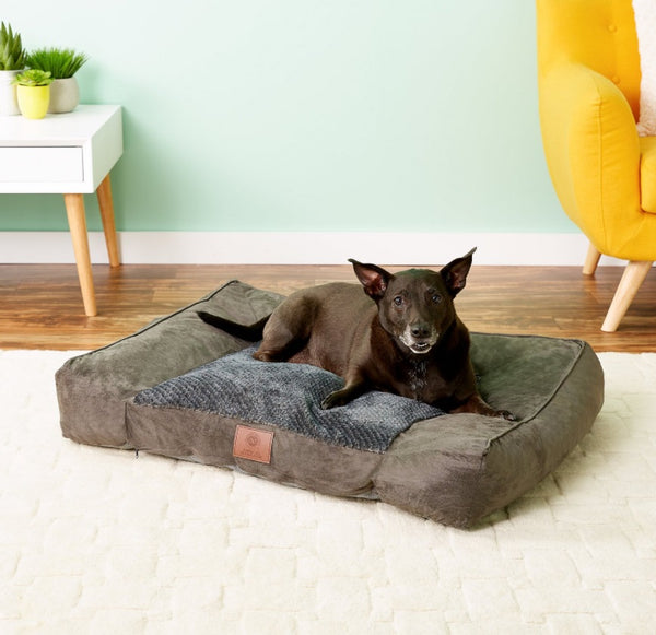 American Kennel Club Extra Large Memory Foam Pillow Dog Bed w/Removable Cover