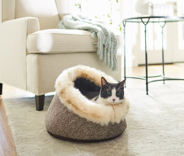 Frisco Fur Hi-Low Cat & Dog Covered Bed