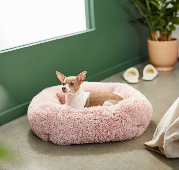 Frisco Eyelash Rectangular Bolster Cat & Dog Bed