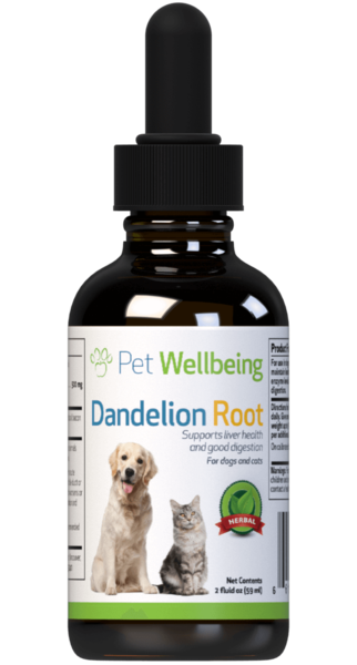 Dandelion Root for Dog Liver Support