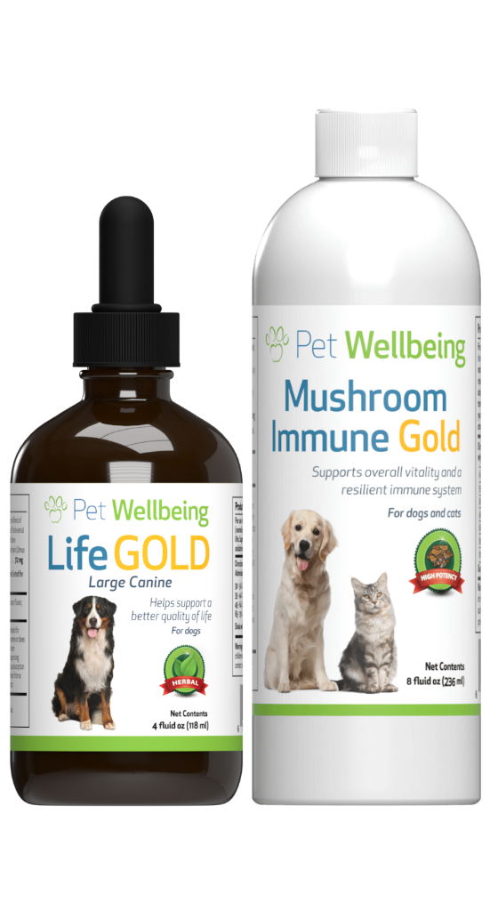 Value Pack Mushrooms Kit for Cancer(1 Mushroom Immune Gold+ 1 Life Gold)(Free shipping over $50 Order)