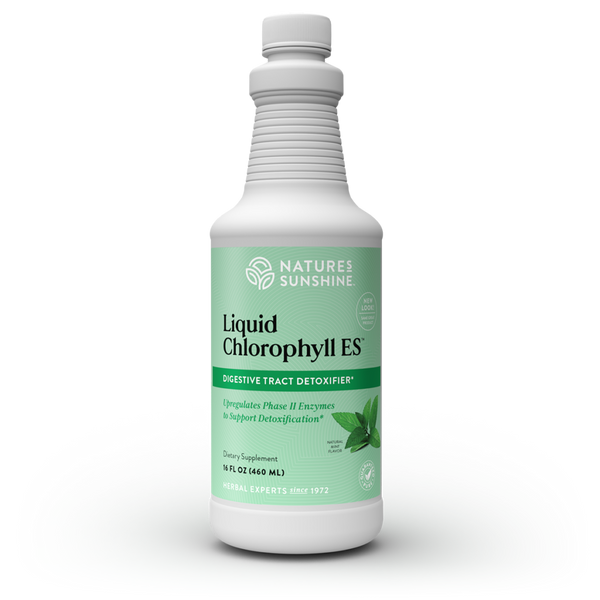 Chlorophyll ES, Liquid (Two 16 fl. oz. bottles)