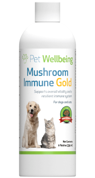 Mushroom Immune Gold for Canine Cancer Support