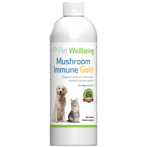 Value Pack Mushrooms Kit for dog Cancer small size(1 Mushroom Immune Gold+ 1 Life Gold )(Free shipping over $50 Order)