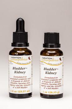 Bladder & Kidney