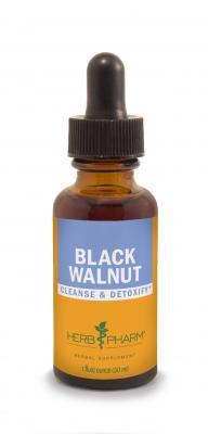 Black Walnut