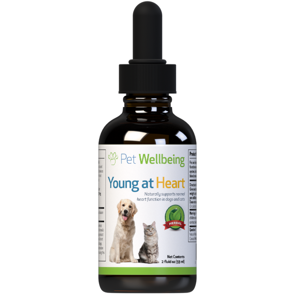 Young at Heart - for Healthy Heart Maintenance in Dogs ( Available in 2oz and 4oz)(Free shipping over $50 Order)