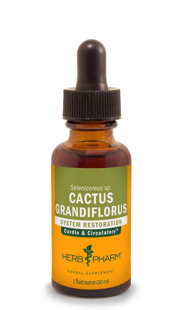 Cactus Grandiflorus - 1oz Herbal Extract