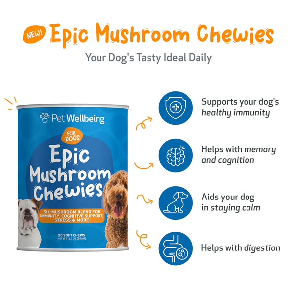 Epic Mushroom Chewies for Dogs (90 soft chews (approx. 4 grams per chew))