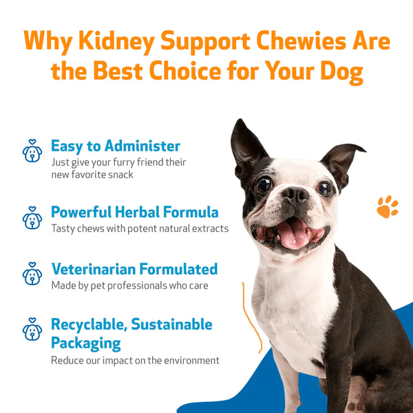 Kidney Support Chewies for Dogs(Normal urine output and thirst (fluid balance),90 Chews)