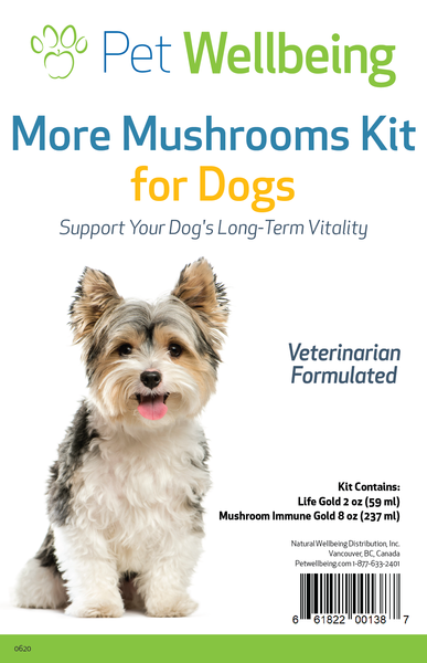 More Mushrooms Kit for Dog Cancer(Free shipping over $50 Order)