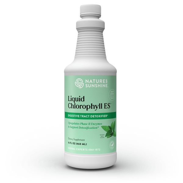 Liquid Chlorophyll ES (Extra Strength,16 fl )(30 Day Supply | 30 Servings)