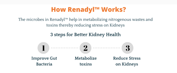 Renadyl- Kidney Health Supplement 3 months (90 days) supply